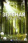 ЗЕЛЕНАЯ ПЛАНЕТА