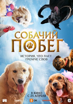 Постер: СОБАЧИЙ ПОБЕГ
