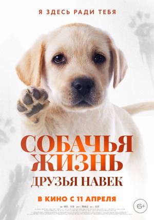 Постер: СОБАЧЬЯ ЖИЗНЬ: ДРУЗЬЯ НАВЕК