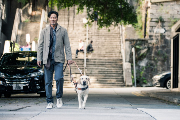 Семейная драма о собаке поводыре "Маленький Кью" стала лучшей на старте уик-энда в Китае