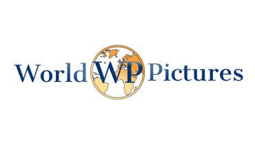 МКиФ «Российский кинобизнес» 2022: Презентация компании World Pictures МКиФ «Российский кинобизнес» 2022: Презентация компании World Pictures