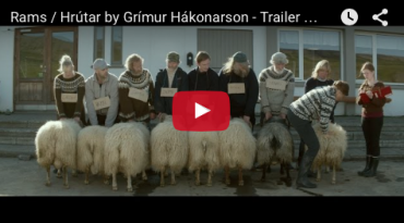 Исландия делегирует на «Оскар» драму «Бараны»