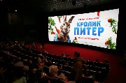 AVR_6296_новый размер.JPG