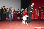 IMG_6619 copy_resize.jpg