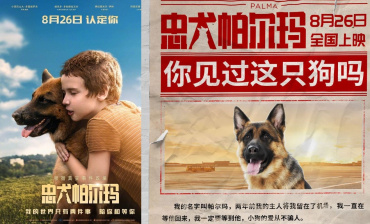 Фильм «Пальма» выходит в прокат в Китае Фильм «Пальма» выходит в прокат в Китае