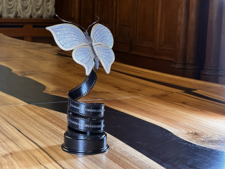 Опубликована программа открытых показов фильмов-участников премии «Бриллиантовая бабочка»