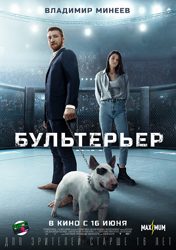 Постер: БУЛЬТЕРЬЕР Постер: БУЛЬТЕРЬЕР