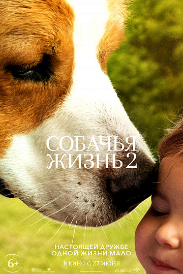 Постер: СОБАЧЬЯ ЖИЗНЬ-2 Постер: СОБАЧЬЯ ЖИЗНЬ-2