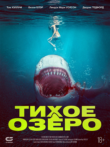 Постер: ТИХОЕ ОЗЕРО Постер: ТИХОЕ ОЗЕРО