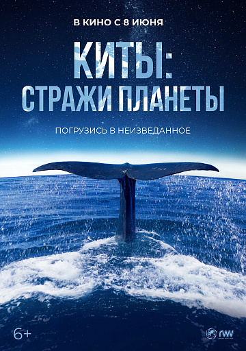 Постер: КИТЫ: СТРАЖИ ПЛАНЕТЫ Постер: КИТЫ: СТРАЖИ ПЛАНЕТЫ