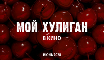 Кинокомпания Вольга экранизирует бестселлер Алены Черничной «Мой хулиган»