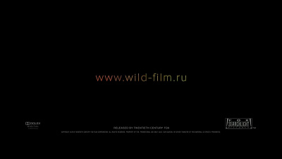 6/6  - Кадры из фильма: ДИКАЯ