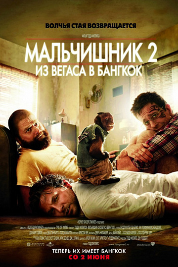 Постер: МАЛЬЧИШНИК-2: ИЗ ВЕГАСА В БАНГКОК Постер: МАЛЬЧИШНИК-2: ИЗ ВЕГАСА В БАНГКОК