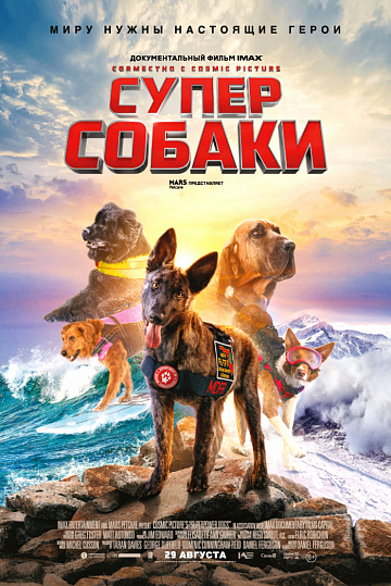 Постер: СУПЕРСОБАКИ Постер: СУПЕРСОБАКИ