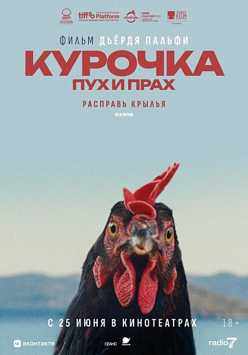 Постер: КУРОЧКА. ПУХ И ПРАХ