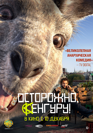 Постер: ОСТОРОЖНО, КЕНГУРУ! Постер: ОСТОРОЖНО, КЕНГУРУ!