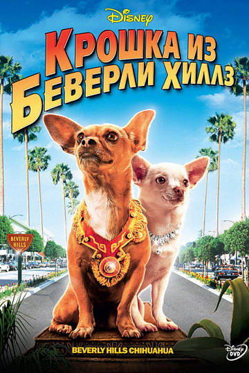 Постер: КРОШКА ИЗ БЕВЕРЛИ-ХИЛЛЗ Постер: КРОШКА ИЗ БЕВЕРЛИ-ХИЛЛЗ
