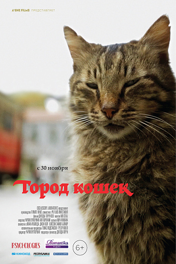 Постер: ГОРОД КОШЕК Постер: ГОРОД КОШЕК