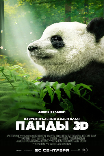 Постер: ПАНДЫ Постер: ПАНДЫ