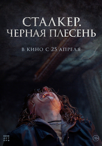 Постер: СТАЛКЕР: ЧЕРНАЯ ПЛЕСЕНЬ