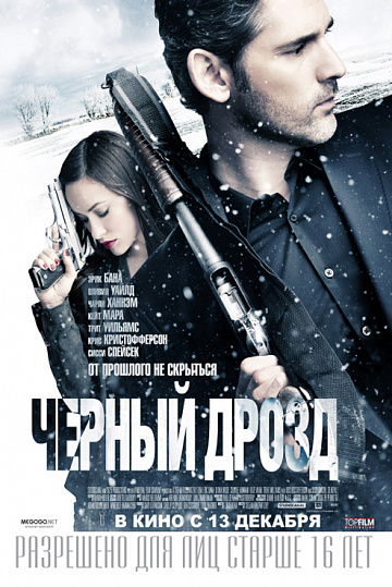 Постер: ЧЕРНЫЙ ДРОЗД
