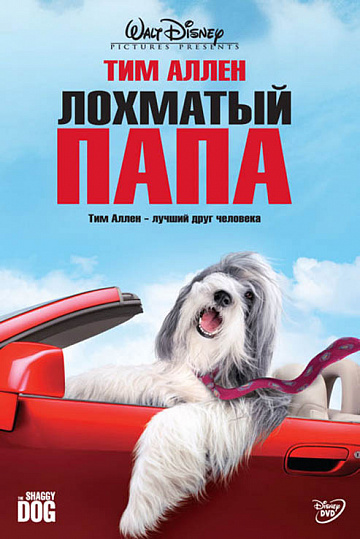 Постер: ЛОХМАТЫЙ ПАПА