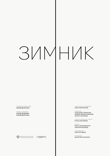 Постер: ЗИМНИК