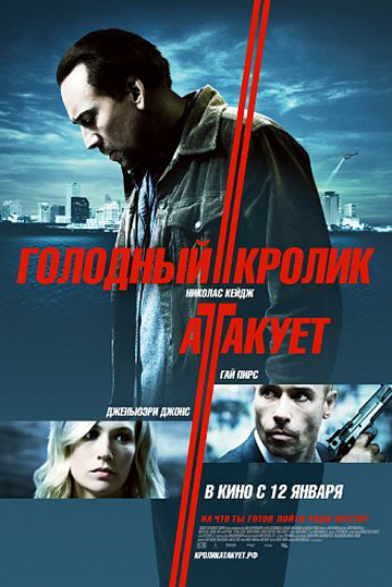 Постер: ГОЛОДНЫЙ КРОЛИК АТАКУЕТ Постер: ГОЛОДНЫЙ КРОЛИК АТАКУЕТ