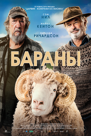Постер: БАРАНЫ Постер: БАРАНЫ