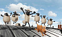 Студия Aardman Animations и компания Studiocanal запускают в производство сиквел "Барашек Шон-2"