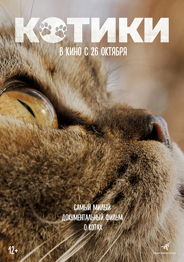 Постер: КОТИКИ