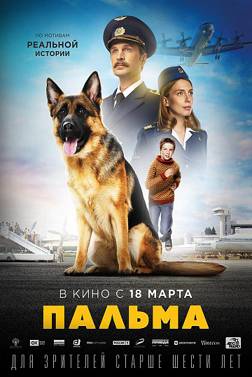 Постер: ПАЛЬМА Постер: ПАЛЬМА