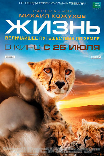 Постер: ЖИЗНЬ Постер: ЖИЗНЬ