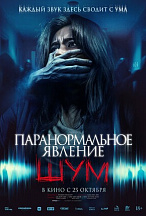 ПАРАНОРМАЛЬНОЕ ЯВЛЕНИЕ: ШУМ