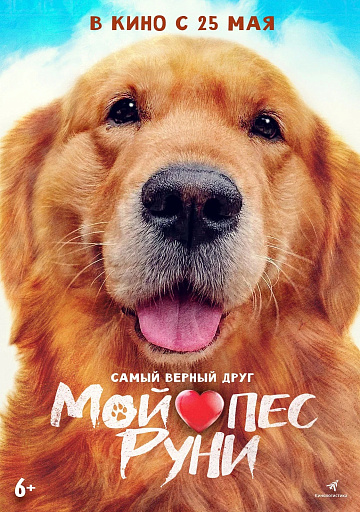 Постер: МОЙ ПЕС РУНИ Постер: МОЙ ПЕС РУНИ