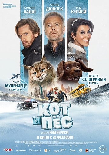 Постер: КОТ И ПЕС