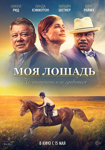 Постер: МОЯ ЛОШАДЬ