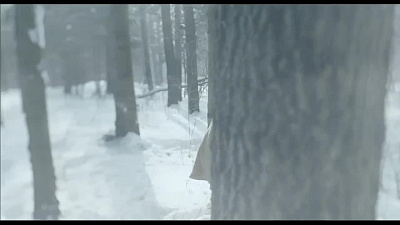 5/6  - Кадры из фильма: ДУБРОВСКИЙ