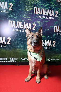 11/18  - Премьера фильма ПАЛЬМА-2