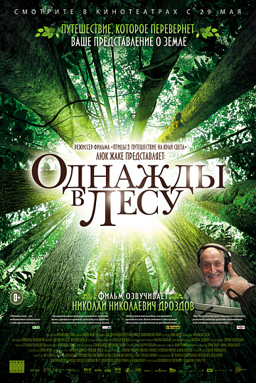 Постер: ОДНАЖДЫ В ЛЕСУ Постер: ОДНАЖДЫ В ЛЕСУ